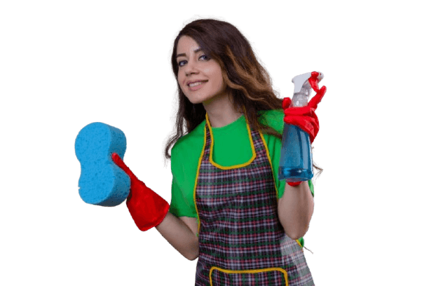 Professional Maid Service